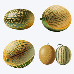 Set of ripe melons. Vector illustration isolated on white background.