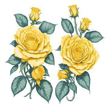 set of roses