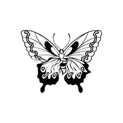 butterfly vector illustration with concept