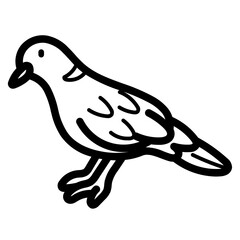 dove line icon style