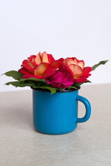 A blue cup filled with flowers: different varieties of pink roses. A small bouquet of garden roses. Beige background. Close up, front view.