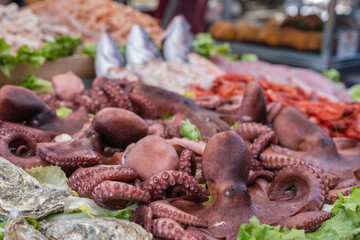 Octopus on food market Ballaro in Palermo, Sicily