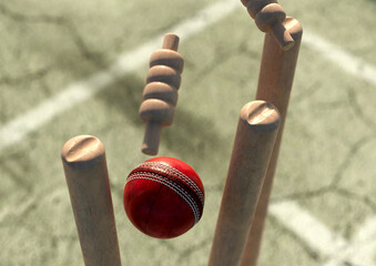 Cricket Wicket Stumps