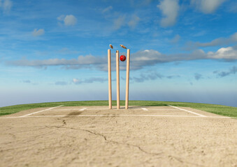 Cricket Wicket Stumps