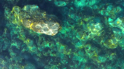 Naklejka na ściany i meble Wide aerial of ligurian sea coast, transparent shallow turquoise water. Aerial view above from drone. Ligurian coast, province of Savona, Italy