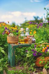 Plants and herbs, nature, alternative medicine. Selective focus.