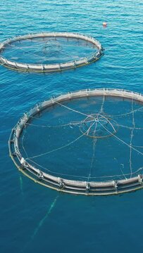 Salmon fish farm cages in open sea. Aerial view of seafood business
