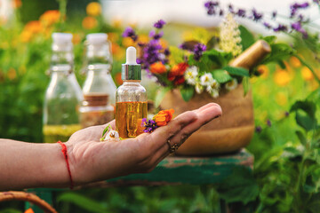 Plants and herbs, nature, alternative medicine. Selective focus.
