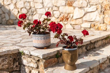 Potted flowers in a stone garden.