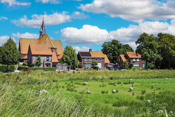 Beautiful green dutch sheep pasture, sleepy rural idyllic countryside village with church tower -...