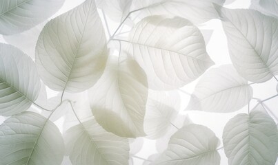  a close up of leaves on a tree branch with a sky background.  generative ai