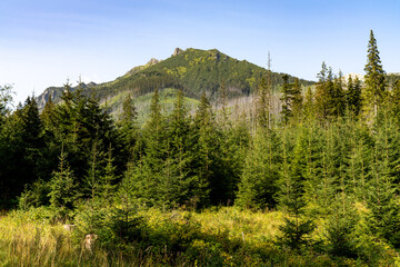 Tatra National Park, Polish Tatra Mountains © Dreamnordno