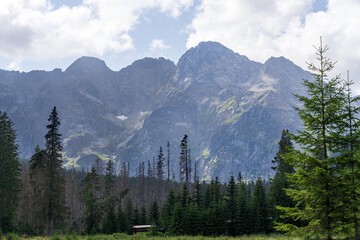 Tatra National Park, Polish Tatra Mountains © Dreamnordno