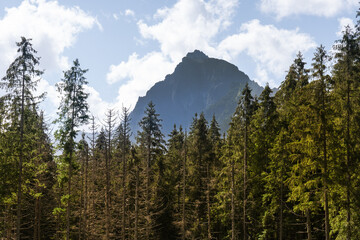 Tatra National Park, Polish Tatra Mountains © Dreamnordno