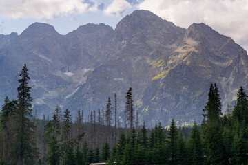Tatra National Park, Polish Tatra Mountains © Dreamnordno