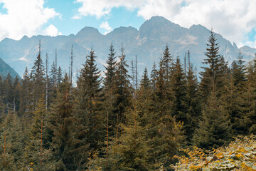 Tatra National Park, Polish Tatra Mountains © Dreamnordno