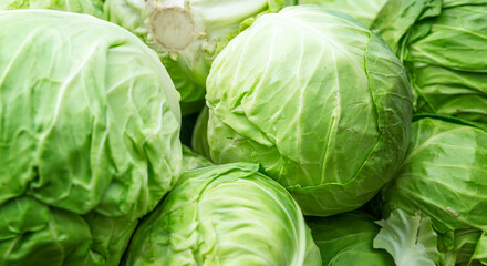 Lots of fresh cabbages. Vitamins, healthy and diet food. Close-up.