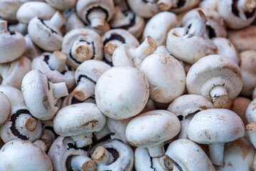 Lots of fresh mushrooms on the counter. Organic food, health and diet. Close-up.