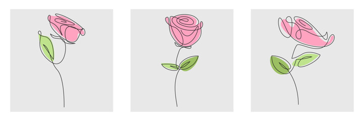 Set of Rose Flower Posters Drawn in Continuous Line Art
