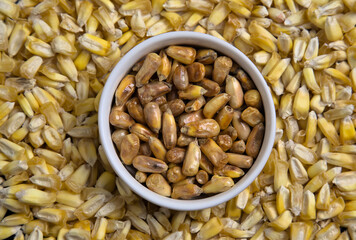Peruvian chulpe corn kernels (raw roasted cancha nuts) for ceviche or cebiche (fried popcorn, maiz, cuzco, maize, toasted ancient grains) cooked product of Peru, Ecuador, Colombia, chulpi alimentos