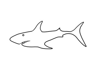 Shape Shark Fish with a background p