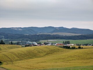 Fototapeta premium Wheat field during sunnrise or sunset. Slovakia 