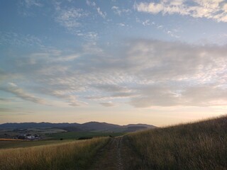 Obraz premium Wheat field during sunnrise or sunset. Slovakia 