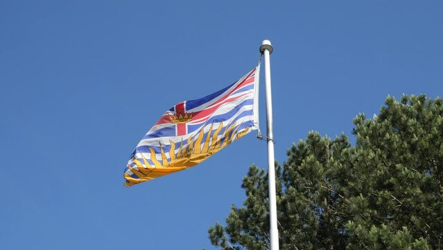 Provincial flag of British Columbia, Canada, waving in the wind against a tree and a clear blue sky at Porteau Cove Provincial Park.