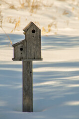 Naklejka premium Birdhouse In Winter In A Wisconsin Conservancy Area