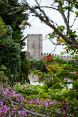 Top of a medieval castle in Europe
