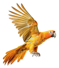 Flying yellow macaw parrot isolated on the transparent background PNG. AI generative.	