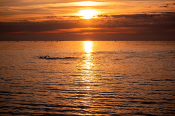 Silhouette of people on SUP boards on horizon of sea at orange sunrise. Active hobby on the water