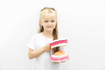 Cute girl showing model of teeth. Funny advertising child teeth treatment. Little girl showing how to use tooth brush on artificial jaws miniature at dental clinic hospital. Daily routine, health care