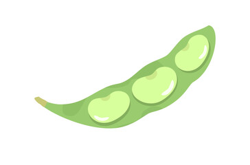 Fresh edamame bean vector, organic edamame bean vector, flat design of fresh vegetable on white background, vegetable top view, food top view on white, vegetarian menu vector, green vegetable isolated