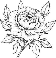 Peonies line art vector illustration set isolated on white. Flower black ink sketch. Modern minimalist hand drawn design.