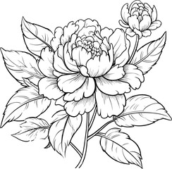 Peonies line art vector illustration set isolated on white. Flower black ink sketch. Modern minimalist hand drawn design.