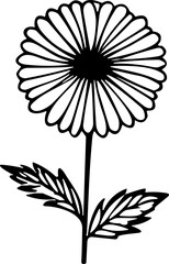 Chamomileline art vector illustration set isolated on white. Flower black ink sketch. Modern minimalist hand drawn design.