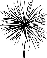 Flower line art vector illustration set isolated on white. Flower black ink sketch. Modern minimalist hand drawn design.