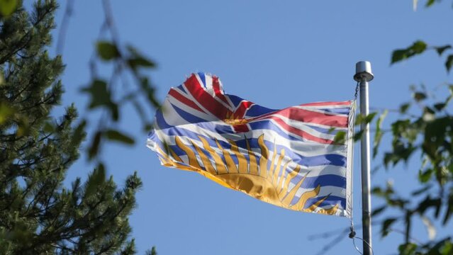 Provincial flag of British Columbia, Canada, waving in the wind against a tree and a clear blue sky at Porteau Cove Provincial Park.