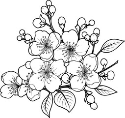 Cherry flower blossom, botanical art. Spring almond, sakura, apple tree branch, hand draw doodle vector illustration. Cute black ink art, isolated on white background. Realistic floral bloom sketch.