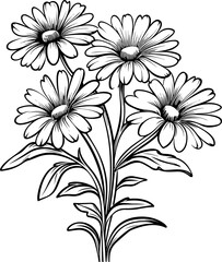 Chamomileline art vector illustration set isolated on white. Flower black ink sketch. Modern minimalist hand drawn design.