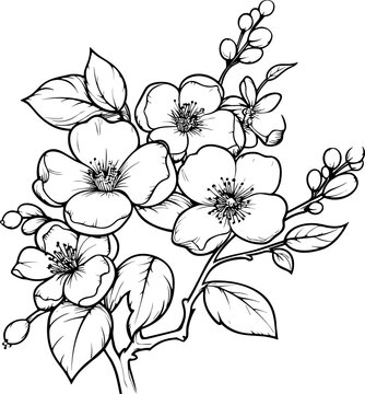 Cherry flower blossom, botanical art. Spring almond, sakura, apple tree branch, hand draw doodle vector illustration. Cute black ink art, isolated on white background. Realistic floral bloom sketch.