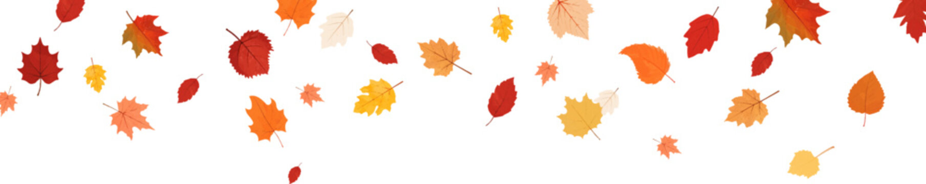 Autumn leaf border.Falling leaves.Leaf fall.Autumn flying leaves.Watercolor leaves in the wind.Autumn leaves seamless border.