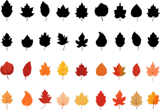Set of autumn leaves.Colorful and black leaf icons collection. Watercolor autumn leaves.Maple leaf.Black siihouette leaf icons collection.