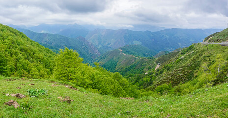 Panoramic of the grandeur of the green landscape of the Picos de Europa in Asturias