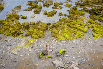 Young and blonde woman walking among the rocks full of algae of an intense green color