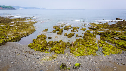 Young and blonde woman walking among the rocks full of algae of an intense green color