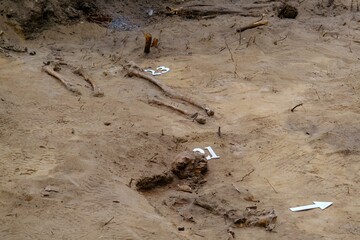 Archaeological excavations and finds. Skeletal bones in a human burial Detail of ancient research,...