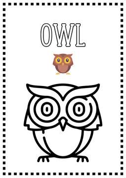 Wisdom in Colors: Captivating Stock Photos of Kids Coloring Books with an Owl
