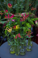 Closeup of flame lily flowers in glass vases